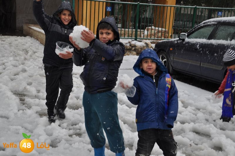 iceman lud 1213 (46).JPG